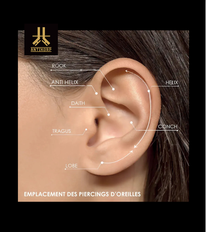 Photographie d'une oreille indiquant les emplacements de piercing proposés par DERMA-INK Besançon